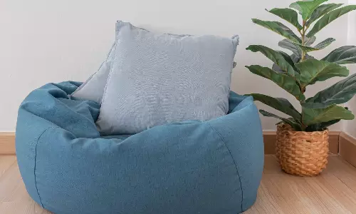 இனி நீங்களே செய்யலா `பீன் பேக்