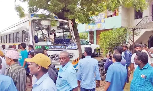 தனியார் பஸ் மரத்தில் மோதி 10 பேர் காயம்