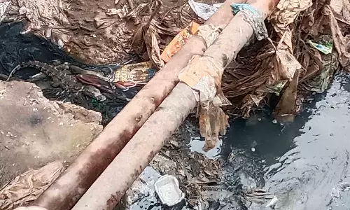 உப்பனாறு வாய்க்காலில் முதலை?-பொதுமக்கள் பீதி-அலறியடித்து ஓட்டம்