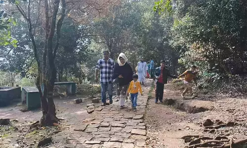 குன்னூரில் இதமான காலநிலை: சுற்றுலா பயணிகள் குவிந்தனர்