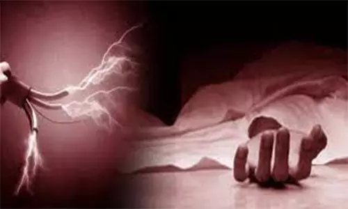 மின்சாரம் தாக்கி உழவு பணியில் இருந்த காளை சாவு