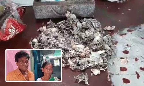 இரும்பு பெட்டியில் வைத்த ரூ.2 லட்சத்தை கரையான் அரித்தது- மகள் திருமணத்திற்கு சேர்த்ததாக விவசாயி கண்ணீர்