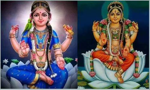 பாலா உருவ அமைப்பு