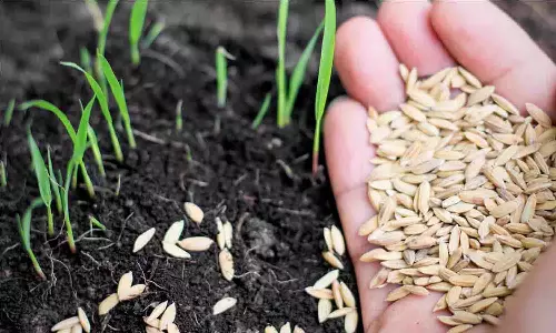 விவசாயிகள் விதைகளின் தரத்தை  ஆய்வு செய்ய வேண்டும் - பரிசோதனை மைய அதிகாரிகள் அறிவுறுத்தல்