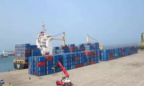 தூத்துக்குடி துறைமுகத்தில் ரூ.2.60 கோடி மதிப்பிலான கொட்டை பாக்குகள் பறிமுதல்