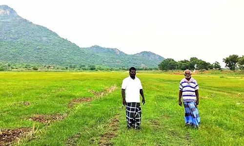 களக்காடு அருகே கால்வாய் தூர்வாரப்படாததால் நிரம்பாத குளங்கள்-விவசாயிகள் கவலை