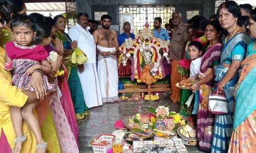 அரூர் முருகன் கோவிலில் திருக்கல்யாண விழா