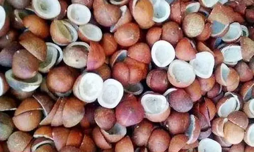 காங்கயம் ஒழுங்குமுறை கூடத்தில்  ரூ.53 ஆயிரத்திற்கு தேங்காய் பருப்பு விற்பனை