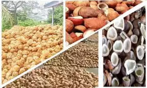 அரசு வேளாண் ஒழுங்கு முறை விற்பனை கூடத்தில்  - வேளாண் பொருட்கள் ரூ19.34 லட்சத்துக்கு விற்பனை