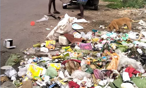 திண்டுக்கல்: துப்புரவு தொழிலாளர்கள் ஸ்டிரைக்கால் சாலையில் குவிந்த குப்பைகள்