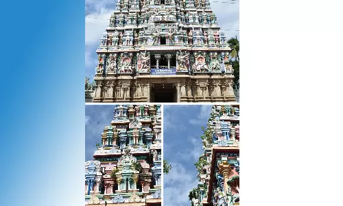 பெரிய கோவில் ராஜ கோபுரத்தில் அடர்ந்து வளரும் செடிகள்