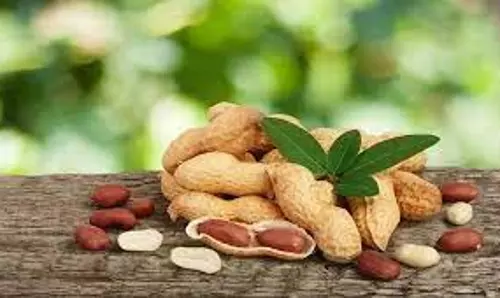 நிலக்கடலை விதைகளை கூடுதல் விலைக்கு விற்றால் கடும் நடவடிக்கை