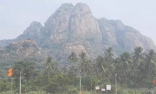 1800 அடி உயர மருந்துவாழ் மலையில் கார்த்திகை தீப திருவிழாவை முன்னிட்டு 26-ந் தேதி மகாதீபம்