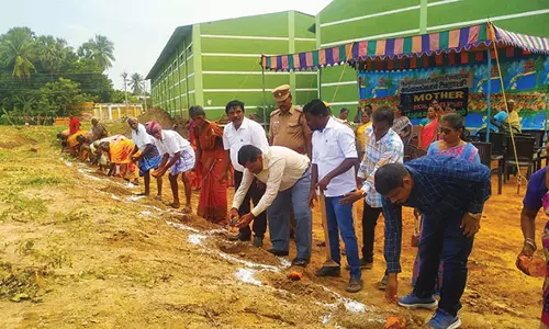 அங்கமங்கலம் கிராமத்தில் கடம்பாகுளம் மறுகால் ஓடை கரை ஓரங்களில் 1 லட்சம் பனை விதைகள் நடும் பணி - மாவட்ட வன அலுவலர் தொடங்கி வைத்தார்