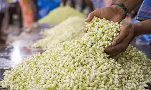 முகூர்த்த நாளையொட்டி மல்லிகை கிலோ ரூ.2,400-க்கு விற்பனை