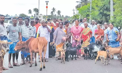 திருத்துறைப்பூண்டியில், விவசாயிகள் சாலை மறியல்