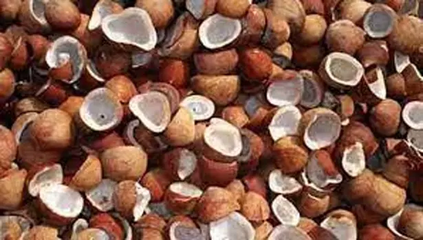 கொங்கணாபுரத்தில் கொப்பரை தேங்காய் ரூ.8 லட்சத்திற்கு விற்பனை கொங்கணாபுரத்தில் கொப்பரை தேங்காய் ரூ.8 லட்சத்திற்கு விற்பனை