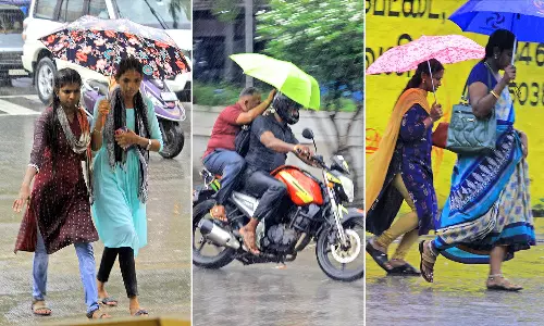 நெல்லை, தென்காசி, தூத்துக்குடியில் விடிய விடிய இடி-மின்னலுடன் கனமழை