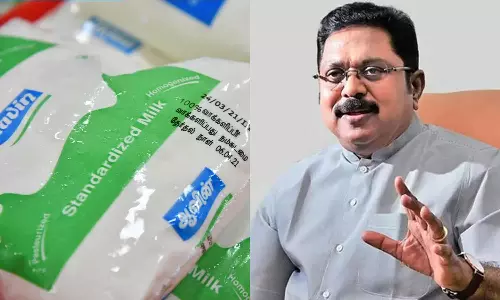 ஆவின் பச்சைநிற பால் பாக்கெட் விற்பனையை நிறுத்தக்கூடாது- டி.டி.வி.தினகரன் கோரிக்கை