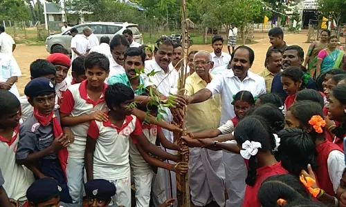 பெருங்காடு அரசு பள்ளியில் மரக்கன்று நடும் விழா