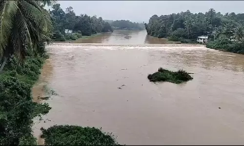 கார்த்திகை தீபத்திருவிழாவையொட்டி குமரியில் 7 கோவில்களில் சொக்கப்பனை கொளுத்தும் நிகழ்ச்சி
