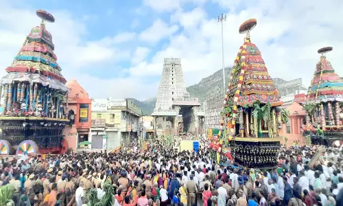 பக்தர்கள் மகா தீபத்தை காண 20 இடங்களில் அகன்ற திரைகள் அமைக்க ஏற்பாடு