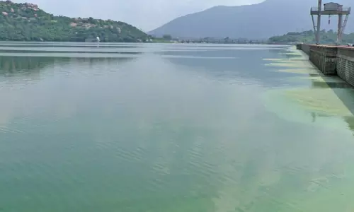 மேட்டூர் அணையில் படர்ந்துள்ளபச்சை நிற பாசிகளை அகற்ற நுண்ணுயிர் கலவை தெளிப்பு