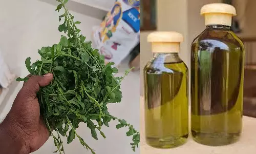 கூந்தல் நீளமாக, அடர்த்தியாக... வளர முதியார் கூந்தல் எண்ணெய்