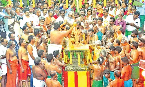 மருங்கூர் சுப்ரமணியசாமிக்கு மயிலாடியில் ஆராட்டு விழா