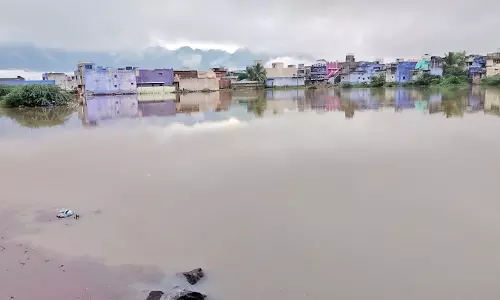 கடையநல்லூரில் இரவு முழுவதும் பெய்த மழை: கால்வாயில் அடைப்பால் குடியிருப்புகளை சூழ்ந்த வெள்ளம் - பாலத்தை உயர்த்தி கட்ட கோரிக்கை