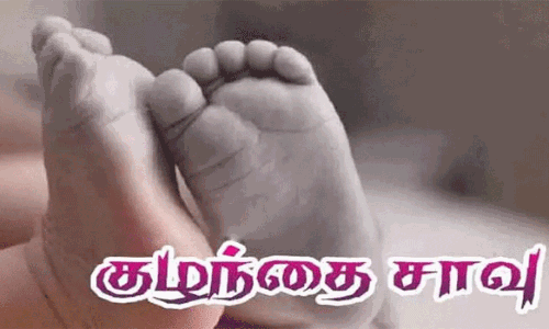 பாம்பு கடித்து பெண் குழந்தை சாவு