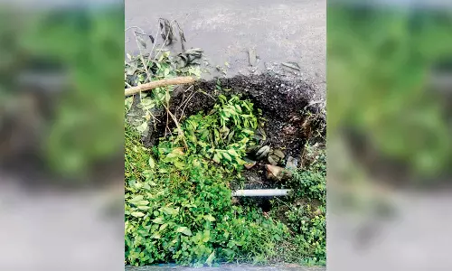 சாலையில் தோன்றிய பள்ளத்தால் பொது மக்கள் அவதி