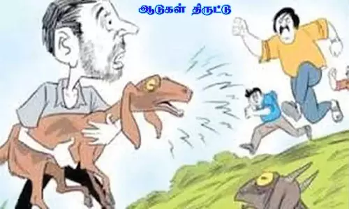 ஆடுகள் திருடிய 4 பேர் கைது