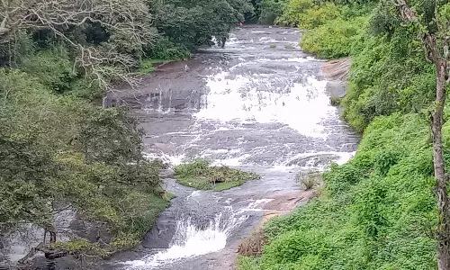 பண்ணைக்காடு அருகே தொடர் மழையால் மூலையாற்றில் வெள்ளப்பெருக்கு