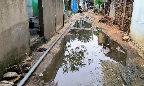 கடமலைக்குண்டு அருகே தெருவில் தேங்கிய கழிவு நீரால்  சுகாதார சீர்கேடு