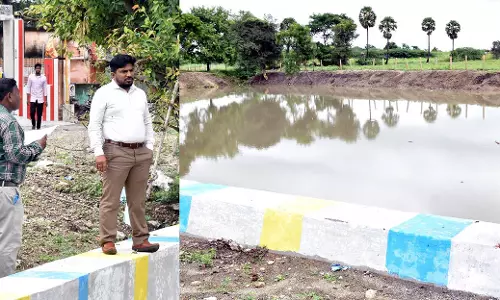 ஊராட்சி ஒன்றிய  வளர்ச்சி பணிகளை ஆய்வு செய்த கலெக்டர்