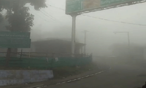 திம்பம் மலைப்பாதையில் கடும் பனிமூட்டம்