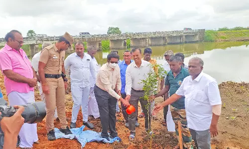 தூத்துக்குடியில் மரக்கன்று நடும் விழா - கலெக்டர் தொடங்கி வைத்தார்
