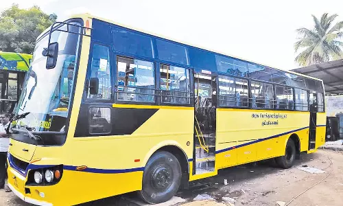 கார்த்திகை தீபத்திருவிழா: கும்பகோணம் கோட்டம் சார்பில் 695 சிறப்பு பஸ்கள் இயக்கம்