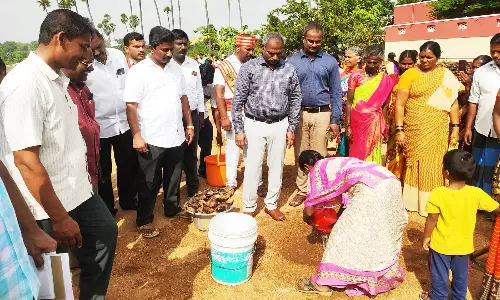 ஒரு லட்சம் பனை விதைகள் நடும் பணி