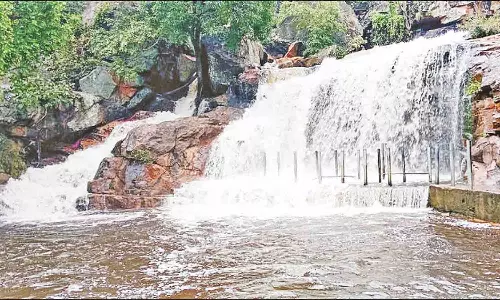 பலத்த மழை:- பஞ்சலிங்க அருவியில் குளிக்க தடை