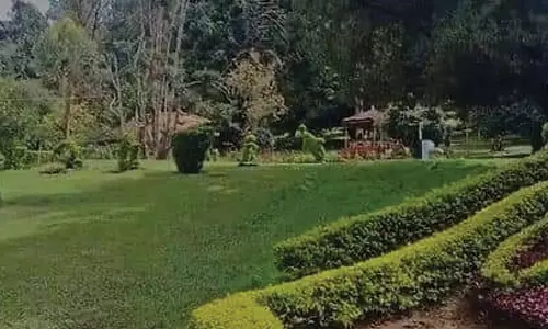 மழையால் சுற்றுலா பயணிகள் வருகை குறைவு: நீலகிரி சுற்றுலா தலங்கள் வெறிச்சோடியது