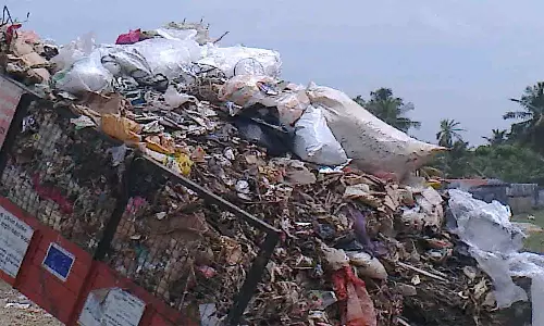 பி.ஏ.பி., கால்வாய் கரையில் கொட்டப்படும் குப்பைகளால்   சுகாதார சீர்கேடு -  விவசாயிகள் புகார்