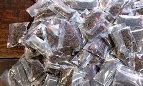 இலங்கைக்கு கஞ்சா கடத்தல்