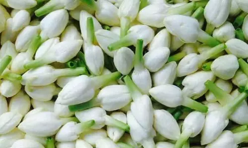 கார்த்திகை தீப திருநாளையொட்டி மதுரையில் பூக்கள் விலை கிடுகிடு உயர்வு