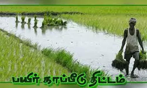 முந்திரி பயிர்களுக்கு காப்பீடுதிட்டம் செயல்படுத்த வலியுறுத்தல்