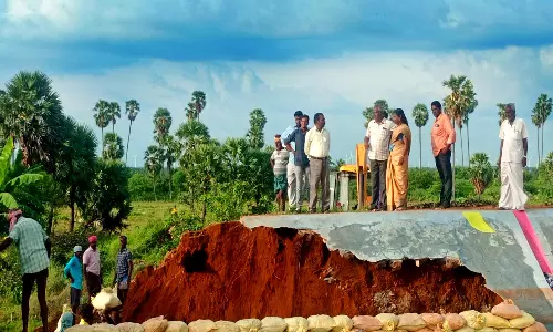 ஆலங்குளம் அருகே உடைப்பு ஏற்பட்ட ஊரணி கரையில் சீரமைப்பு பணி