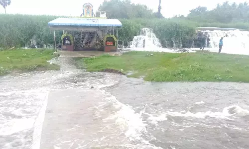 திருப்பூர் நல்லம்மன்  கோவிலில் சிறப்பு வழிபாடு - 27-ந்தேதி நடக்கிறது