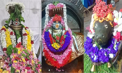 பரமத்திவேலூர் பகுதி சிவன் கோவில்களில் பிரதோஷ வழிபாடு
