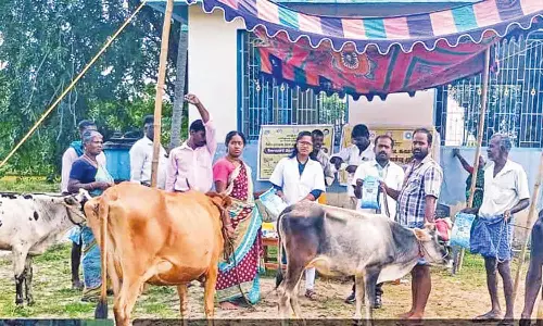 கால்நடை மருத்துவ முகாம்